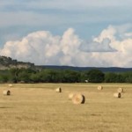 Hay field near Sabinal River Retreat