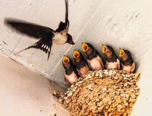 2019 Photo Directory Contest Submissions