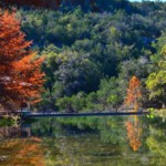 Reflections of Montell